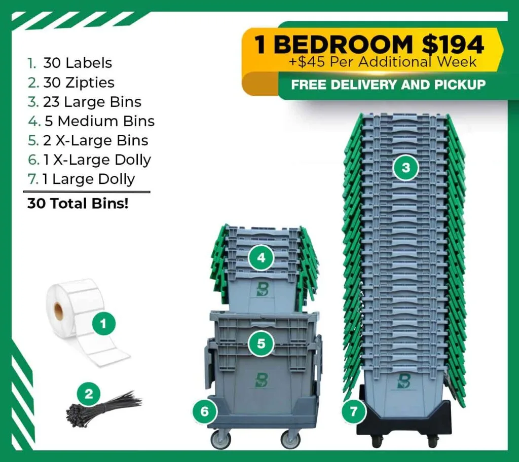 1 BR Package Gold Ribbon 2
